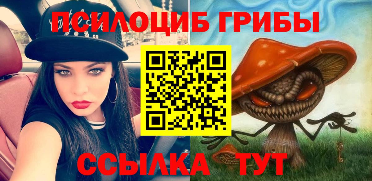 Галлюциногенные грибы мицелий  Вход с VPN  Псилоцибиновые грибы MAGIC MUSHROOMS  Светлоград 